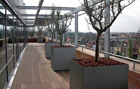 Afbeelding voor Producten Parket De Pauw Terrassen in Bankirai De Lijn Mechelen